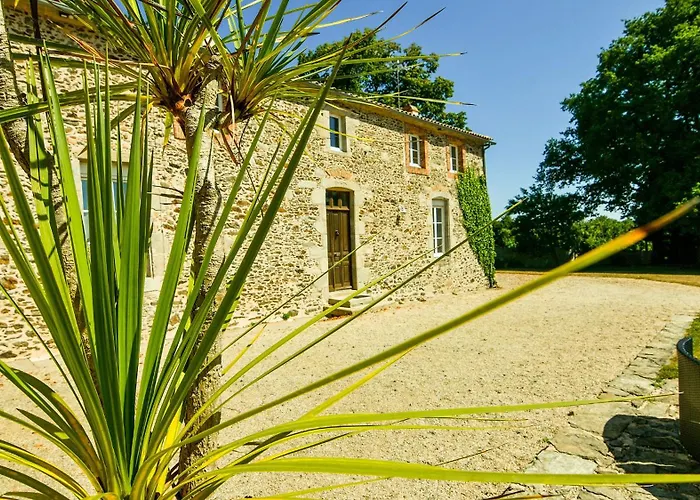 B&B Logis De La Clartiere Falleron